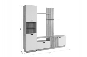 МОДИ К1 Гостиная (белое дерево) в Игре - igra.ok-mebel.com | фото 2