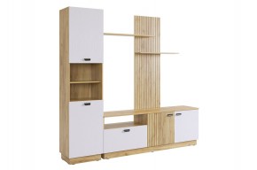 МОДИ К1 Гостиная (белое дерево) в Игре - igra.ok-mebel.com | фото 6