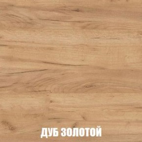 МСП-1 Шкаф 2-х створчатый (Дуб Золотой/Камень темный) в Игре - igra.ok-mebel.com | фото 4