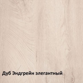 Муссон Шкаф двухстворчатый 13.198 в Игре - igra.ok-mebel.com | фото 5