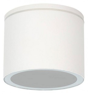 Накладной светильник Arte Lamp Piautos A1913PF-1WH в Игре - igra.ok-mebel.com | фото