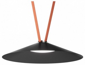 Накладной светильник Denkirs Belty Flow DK5668-BK в Игре - igra.ok-mebel.com | фото