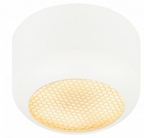 Накладной светильник Эра  OL56 WH в Игре - igra.ok-mebel.com | фото 2