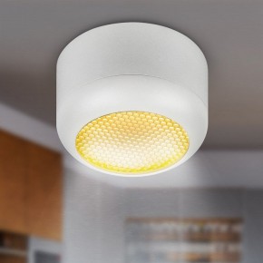 Накладной светильник Эра  OL56 WH в Игре - igra.ok-mebel.com | фото 8