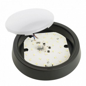 Накладной светильник Feron AL3020 51473 в Игре - igra.ok-mebel.com | фото 5