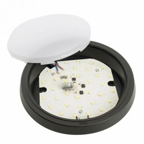 Накладной светильник Feron AL3020 51475 в Игре - igra.ok-mebel.com | фото 6