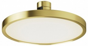 Накладной светильник Maytoni Plato TR153-1-10W4K-BS в Игре - igra.ok-mebel.com | фото