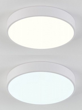 Накладной светильник Natali Kovaltseva  LED LAMPS 81111/5C в Игре - igra.ok-mebel.com | фото 4