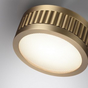 Накладной светильник Odeon Light Manchester 7013/7CL в Игре - igra.ok-mebel.com | фото 5