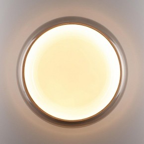 Накладной светильник Sonex PORTMAN 7777/DLN в Игре - igra.ok-mebel.com | фото 6