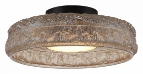 Накладной светильник ST-Luce ANTIKE SL6143.422.01 в Игре - igra.ok-mebel.com | фото 3
