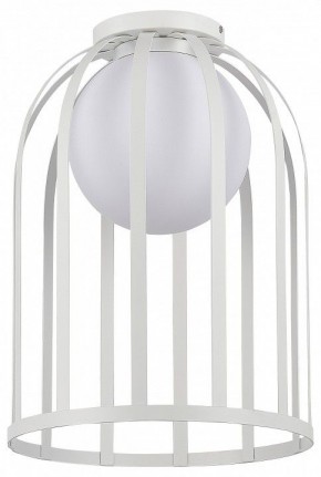 Накладной светильник ST-Luce Nordic SL6129.502.01 в Игре - igra.ok-mebel.com | фото