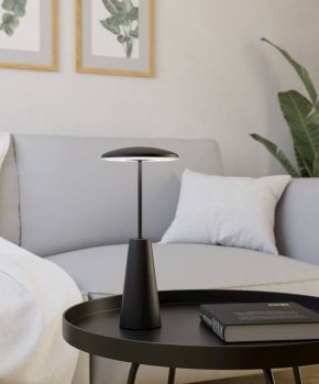 Настольная лампа декоративная Eglo PICCOLA 900925 в Игре - igra.ok-mebel.com | фото 4