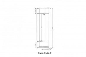 ОЛЬГА-ЛОФТ 3 Шкаф 2-х створчатый в Игре - igra.ok-mebel.com | фото 3