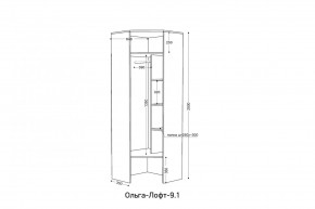 ОЛЬГА-ЛОФТ 9.2 Шкаф угловой с зеркалом в Игре - igra.ok-mebel.com | фото 2