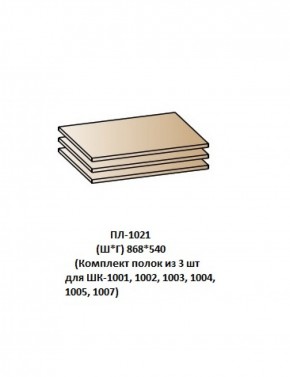 ПЛ-1021 (Комплект полок из 3 шт для ШК-1001, 1002, 1003, 1004, 1005, 1007) в Игре - igra.ok-mebel.com | фото