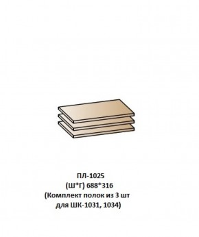 ПЛ-1025 (Комплект полок из 3 шт для ШК-1031, 1034) в Игре - igra.ok-mebel.com | фото
