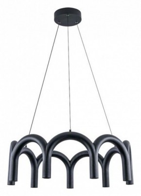 Подвесная люстра Arte Lamp Warhol A3258LM-45BK в Игре - igra.ok-mebel.com | фото 2