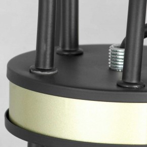 Подвесная люстра Lussole Roosevelt LSP-8198 в Игре - igra.ok-mebel.com | фото 5
