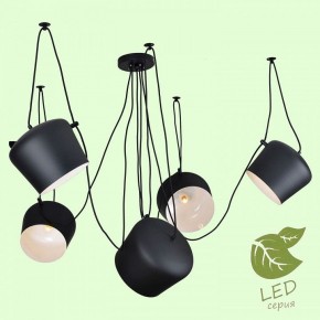 Подвесная люстра Lussole Shirley GRLSP-9919 в Игре - igra.ok-mebel.com | фото