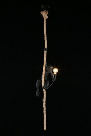 Подвесной светильник Aployt Magali APL.309.16.01 в Игре - igra.ok-mebel.com | фото 3