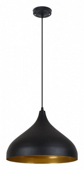Подвесной светильник Arte Lamp Carmel A7076SP-1BK в Игре - igra.ok-mebel.com | фото 2