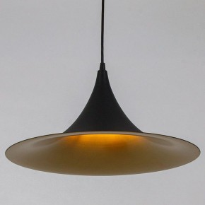 Подвесной светильник Arte Lamp Carmel A7080SP-1BK в Игре - igra.ok-mebel.com | фото