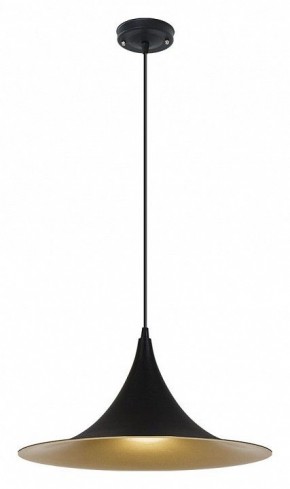 Подвесной светильник Arte Lamp Carmel A7080SP-1BK в Игре - igra.ok-mebel.com | фото 2