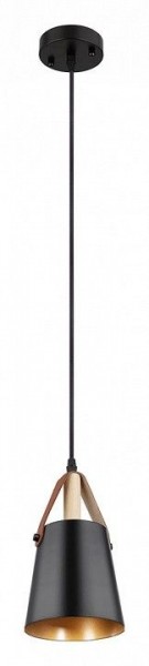Подвесной светильник Arte Lamp Thomas A7032SP-1BK в Игре - igra.ok-mebel.com | фото 2