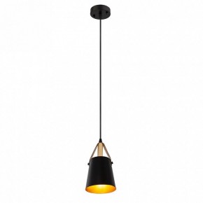 Подвесной светильник Arte Lamp Thomas A7032SP-1BK в Игре - igra.ok-mebel.com | фото 3