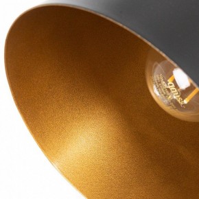 Подвесной светильник Arte Lamp Thomas A7032SP-1BK в Игре - igra.ok-mebel.com | фото 5