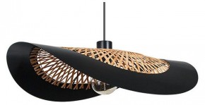 Подвесной светильник Arte Lamp Woodstock A7059SP-1BK в Игре - igra.ok-mebel.com | фото