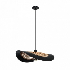 Подвесной светильник Arte Lamp Woodstock A7059SP-1BK в Игре - igra.ok-mebel.com | фото 2