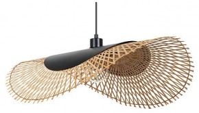 Подвесной светильник Arte Lamp Woodstock A7063SP-1BK в Игре - igra.ok-mebel.com | фото