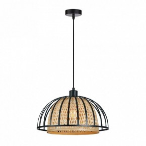 Подвесной светильник Arte Lamp Woodstock A7071SP-1BK в Игре - igra.ok-mebel.com | фото