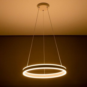 Подвесной светильник Citilux Дуэт CL719500 в Игре - igra.ok-mebel.com | фото 11
