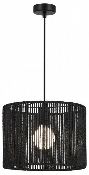 Подвесной светильник EVOLUCE ETTAN SLE6024-403-01 в Игре - igra.ok-mebel.com | фото 2