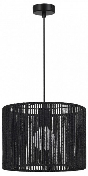 Подвесной светильник EVOLUCE ETTAN SLE6024-403-01 в Игре - igra.ok-mebel.com | фото 4