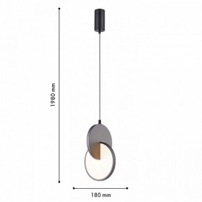 Подвесной светильник F-promo Grahan 4609-1P в Игре - igra.ok-mebel.com | фото 4