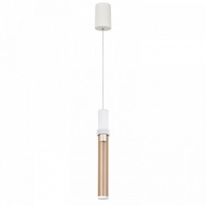 Подвесной светильник Favourite Gordon 4717-1P в Игре - igra.ok-mebel.com | фото 3