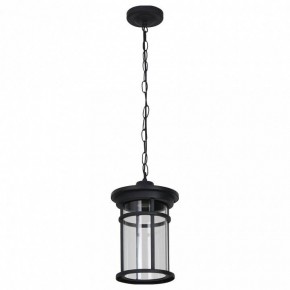 Подвесной светильник Feron PL765 51819 в Игре - igra.ok-mebel.com | фото