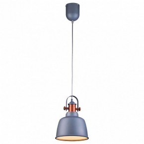 Подвесной светильник Lucia Tucci Industrial INDUSTRIAL 1820.1 SAND SILVER в Игре - igra.ok-mebel.com | фото 2