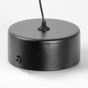 Подвесной светильник Lussole Blount LSP-7356 в Игре - igra.ok-mebel.com | фото 6