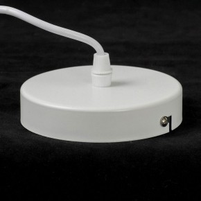 Подвесной светильник Lussole Butte LSP-8915 в Игре - igra.ok-mebel.com | фото 5