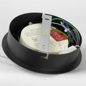 Подвесной светильник Lussole Hale LSP-7381 в Игре - igra.ok-mebel.com | фото 6