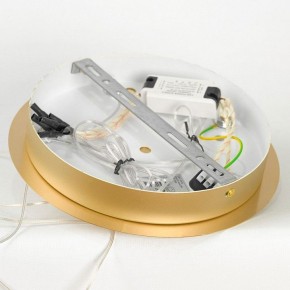 Подвесной светильник Lussole Hopkins LSP-7400 в Игре - igra.ok-mebel.com | фото 5