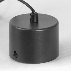 Подвесной светильник Lussole Milam LSP-7451 в Игре - igra.ok-mebel.com | фото 7