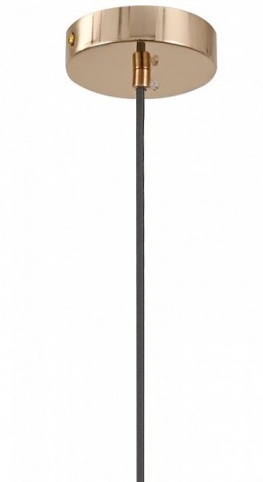 Подвесной светильник Moderli Charm V11176-1P в Игре - igra.ok-mebel.com | фото 8