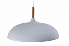 Подвесной светильник Moderli Hygo V11447-1P в Игре - igra.ok-mebel.com | фото
