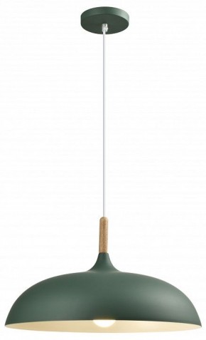 Подвесной светильник Moderli Hygo V11453-1P в Игре - igra.ok-mebel.com | фото 4